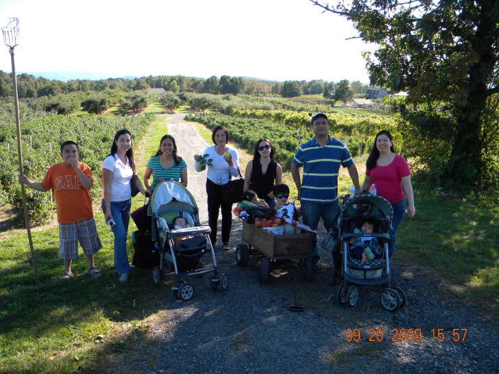Apple Picking