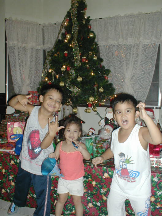new year 2003 01